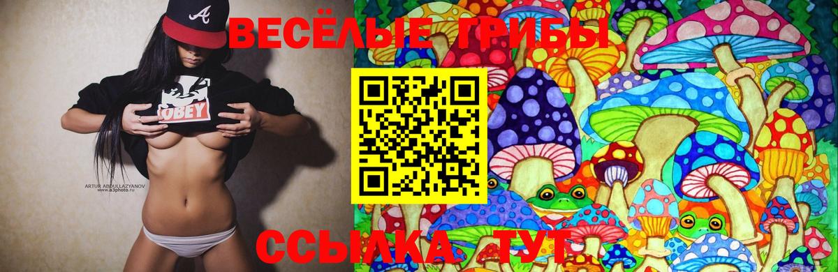 Галлюциногенные грибы ЛСД Лабытнанги