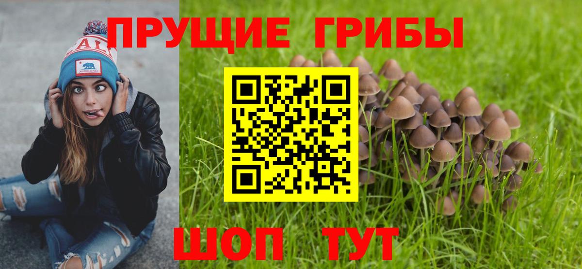 Лабытнанги  Псилоцибиновые грибы Psilocybe  где продают   Вход с VPN  Псилоцибиновые грибы мицелий 